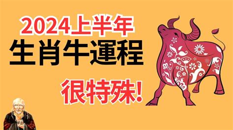 1958屬狗2023運勢|属狗1958年出生的人2023年全年运程运势